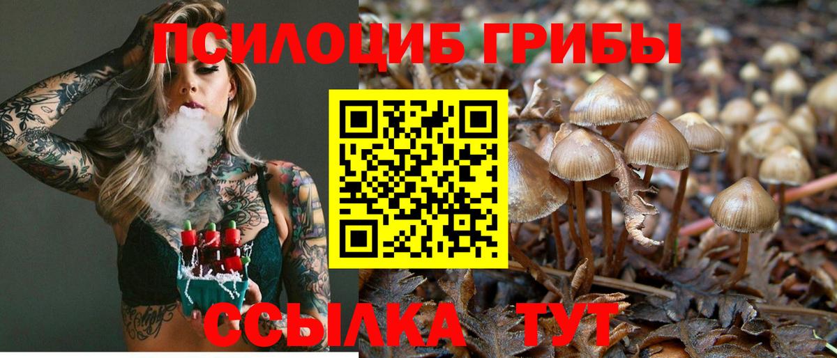 Каменск-Шахтинский  наркошоп  Вход с VPN  Галлюциногенные грибы Psilocybine cubensis 
